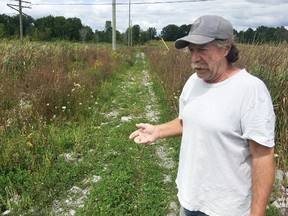 Clark Road resident Bill Hilliard says the rebuilding of a road allowance across the Bayview Bog has lowered the water level of the wetland on his property in Loyalist Township. (Elliot Ferguson/The Whig-Standard)