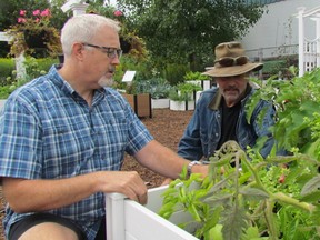 John Hollingsworth, left, who works in marketing with New England Arbors, checks out one of the company's planter boxes with Paul Smith, of Smiths Homestead Farm, at a demonstration garden set up at the Sarnia company's site on Campbell Street. New England Arbors will hold its annual garage sale in support of local charities Sept. 9, 8 a.m. to noon, at 211 Campbell St. (Paul Morden/Sarnia Observer)