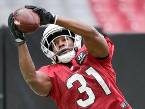 Arizona Cardinals' David Johnson. (AP)