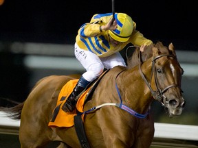 Jockey Eurico Da Silva guides Pink Lloyd to victory in the $125,000 Kenora Stakes last night at Woodbine. (MICHAEL BURNS/Photo)