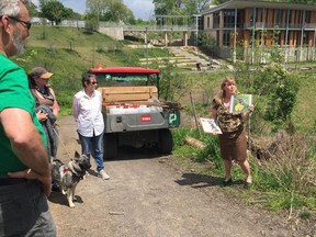 Members and supporters of Four Paws Elkhound Rescue in Pittsburgh, Penn. gather for a treeplanting ceremony to remember Tonka, a Norwegian elkhound from Lively that was killed earlier this year. A yellowwood sapling was installed in the U.S. city's largest municipal park to commemorate the local canine. (Photo supplied)