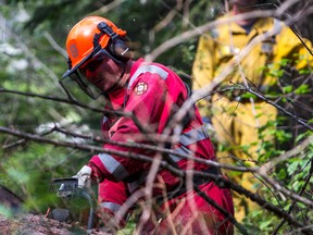 FireSmart crews are currently performing vegetation management in the Hilltop area (File Photo).