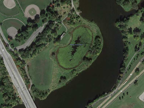 Google Earth screen grab showing the Brewer Park pond by the Rideau River GOOGLE EARTH / OTTAWA CITIZEN