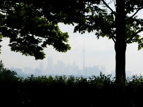 The trees of Humber Bay Park West (Ernest Doroszuk/Toronto Sun files)