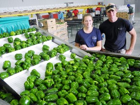 Komienski Ltd.’s 30,000-square-foot processing facility in Scotland was one of the featured attractions on Norfolk County’s annual Farm Tour Wednesday. The $3-million facility on Highway 24 was built this spring. Davina and Tom Komienski Jr. represent the fourth generation of the family to commit to agriculture. (MONTE SONNENBERG / SIMCOE REFORMER)