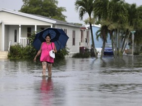 This June 7, 2017 file photo shows Peggy Wallace walking near her flooded neighborhood in Davie, Fla. (AP Photo/Lynne Sladky, File)
