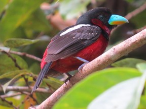 Submitted photo
Quinte Field Naturalists’ lecture series launches again this month with a number of speakers addressing a variety of aspects of nature including birds, moths and the environment.