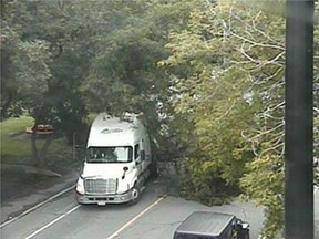 A moving truck apparently snagged a large tree and brought it down, blocking traffic on Laurier Avenue near Bronson Avenue. TRAFFIC CAM
