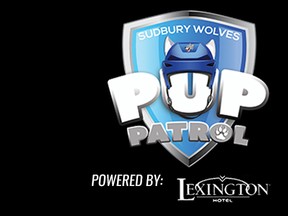 Pup Patrol Sudbury Wolves