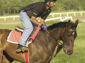 Exercise rider Darren Fortune gallops Sweet Breanna in a 2006 file photo. Fortune passed away on Sept. 8, 2017 while exercising another horse at Woodbine. (MICHAEL BURNS/File photo)