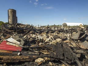 A fire on Friday afternoon destroyed much of Peter Ruiter's dairy farm and killed 80 of his 98 purebred Holsteins