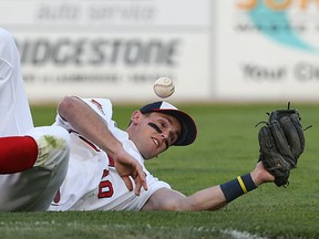 Goldeyes third baseman Wes Darvill makes a mess of a pop-up against the Lincoln Saltdogs during playoff action at Shaw Park last night. (Kevin King/Winnipeg Sun)