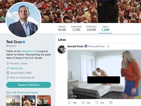 In this screenshot, U.S. Senator Ted Cruz's official Twitter account is seen as 'liking' an x-rated video on September 11, 2017 before it was removed by staff. (Twitter/Screenshot)
