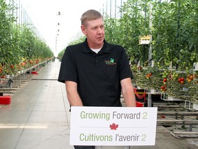 Greg Devries, president of Truly Green Farms and Cedarline Greenhouses, says waste heat and carbon dioxide should begin being piped to the Truly Green greenhouse on Bloomfield Road in Chatham from GreenField Global, located across the road, before the end of the year. That’s thanks to $3.7 million being provided from the Agriculture and Agri-Food Canada.