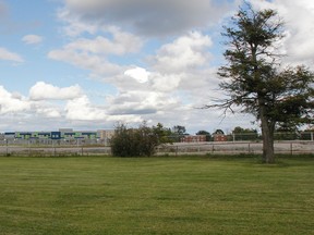 The site of the former Queen Elizabeth Collegiate, seen here in Kingston, Ont. on Friday September 8, 2017, is  where the new Kingston intermediate and secondary school will be built, starting this fall.  Molly Brant Elementary School, seen in the background, shares the property . Julia McKay/The Whig-Standard/Postmedia Network