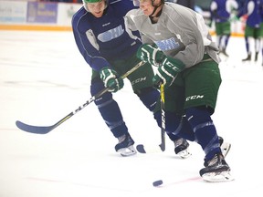 Sudbury Wolves Reagan O'Grady, left, and Blake Murray run through  drills during team practice in Sudbury, Ont. on Tuesday September 12, 2017. The Wolves host the North Bay Battalion in their second exhibition game of the season on Wednesday night.Gino Donato/Sudbury Star/Postmedia Network