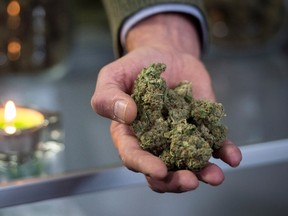 Marc Emery, who owns the Cannabis Culture brand with his wife Jodie, holds a handful of cannabis at the opening of one of their stores in Montreal on Dec. 15, 2016. (Paul Chiasson/The Canadian Press/Files)