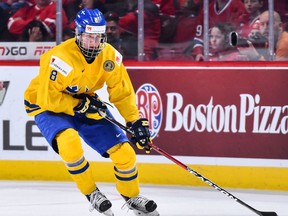 Rasmus Dahlin of Sweden (Getty Images)