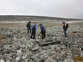 In this photo taken on Sept. 4, 2017, archeologists and the two hunters who found an ancient Viking sword, search the site where it was discovered north of Oslo. (Espen Finstad/ Oppland county council via AP)