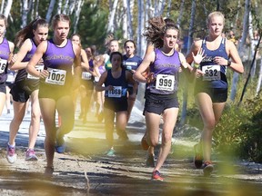 Participants take part in the high school cross country running preliminary event at Kivi Park which marked the start of the high school sports season in Sudbury, Ont. on Wednesday September 13, 2017. The next cross country running event take place next Tuesday September 19 at Fielding Park.Gino Donato/Sudbury Star/Postmedia Network