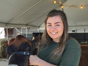 Hartington's Katie Babcook with her jersey calf Suspense at the Kingston Fall Fair at the Memorial Centre in Kingston, Ont. on Friday, September 14, 2017. Babcook is getting Suspense ready for the dairy club event at the Frontenac 4-H Club's competitions Saturday at the fair. (Mike Norris/The Whig-Standard)