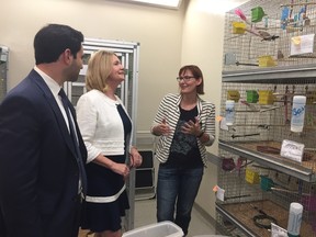 London North Centre MP Peter Fragiskatos, London West MP Kate Young and avian researcher Beth MacDougall-Shackleton take a look at some zebra finches at Western University's lab Friday. (JENNIFER BIEMAN, The London Free Press)
