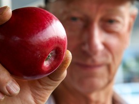 Tim Miller/The Intelligencer
Bob Gates, owner of Apple Gates Orchards in Quinte West, holds up one of his apples at the Quinte West Farmers’ Market on Saturday Trenton. Gates said while fruits like apples have come through this past season okay, flooding and cold weather has taken its toll on vegetable crops.