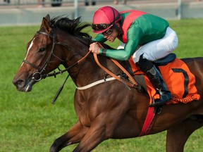 Capla Temptress, with jockey Joel Rosario aboard, won the Natalma Stakes at Woodbine Racetrack on Sept. 17, 2017. (MICHAEL BURNS/Photo)