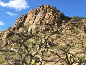 People have always visited the Scottsdale area for its desert climate and scenery, such as Pinnacle Peak with its 6.5-km trail that rises 850 metres, but increasingly they are coming for the creative cuisine. KEVIN HANN PHOTO