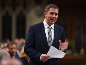 Conservative Leader Andrew Scheer stands during question period in the House of Commons on Parliament Hill in Ottawa on Monday, Sept. 18, 2017. (THE CANADIAN PRESS/Sean Kilpatrick)