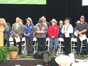 Premier Kathleen Wynne (red jacket) is among the dignitaries at the opening of the 100th International Plowing Match today in Walton, located 30 kilometres east of Goderich. (DEREK RUTTAN, The London Free Press)