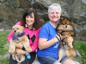 Valerie Graham, left, and her dog, Cha Cha, and Linda Morgan and her dog Rusty, will be participating in the Ontario SPCA Sudbury and District Animal Centre Friends for Life! Walk on Sept. 23 at College Boreal in Sudbury, Ont. John Lappa/Sudbury Star/Postmedia Network