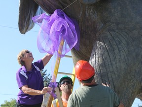 Barb Matthews, executive director of Big Brothers Big Sisters of St. Thomas-Elgin, helps put a purple ribbon on the Jumbo monument. The ribbon will be up for the rest of September in honour of Big Brothers Big Sisters month. (Laura Broadley/Times-Journal)