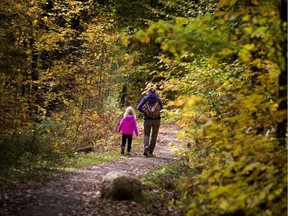 A trail in Gatineau Park in autumn.  ASHLEY FRASER / POSTMEDIA