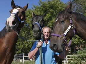 Walter Kahrer and his three horses Hector, MC and Summer pose for a photo at the Greenbelt Riding School in Ottawa Ontario Friday Sept 22, 2017. Hector had five of his horses (including the ones he is holding) get loose onto Albion Road in Ottawa Friday. TONY CALDWELL