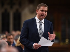 Conservative Leader Andrew Scheer stands during question period in the House of Commons on Parliament Hill in Ottawa on Sept. 18, 2017. (THE CANADIAN PRESS)