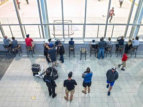 Fans watch from the QSC lobby as the Belleville Senators hold their first-ever AHL training camp workout Sunday at Mackay Arena. (Michael J. Brethour Photography)