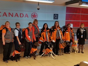 The Canadian Search and Disaster Dog Association (CASDDA), based in Edmonton, has sent a team of six handlers and five dogs to Mexico City in the hopes of finding survivors of the Sept. 19. (Supplied by Richard Lee)