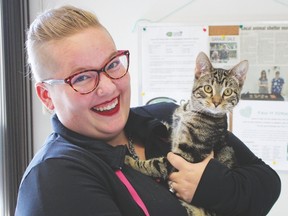 Cause for Critters staffer Patricia Cottreau cuddles one of the many kittens and cats available for adoption. This cutie is the last of her litter to need a furever home.