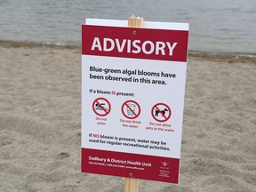 Blue-green algae warning sign