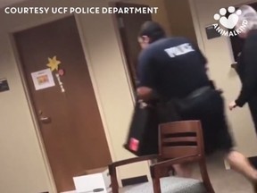 A jittery police officer tires to catch a snake with a trash can recently at the University of Central Florida's Orlando campus. (Animalkind/Facebook)