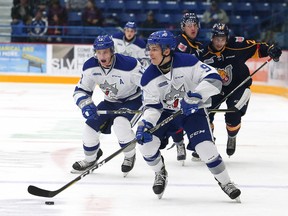 Dawson Baker, of the Sudbury Wolves, looks for a teammate during OHL action against the Barrie Colts at the Sudbury Community Arena in Sudbury, Ont. on Friday September 29, 2017. John Lappa/Sudbury Star/Postmedia Network