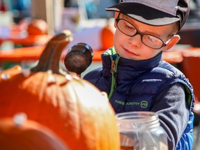 Gavin Hebert, 6, decorates a pumpkin at the Flavours of Fall Festival in downtown Belleville on Saturday September 30, 2017 in Belleville, Ont. Visitors to the downtown core could participate in horse-drawn trolley rides, have their face painted, or check out historic displays among many other activities organized by the Belleville Chamber of Commerce. Tim Miller/Belleville Intelligencer/Postmedia Network
