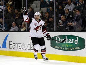 Coyotes' Max Domi celebrates after scoring against the Sharks during NHL action in San Jose, Calif., last season. Domi called for stricter immigration controls in the wake of a violent attack in Edmonton this weekend. (Marcio Jose Sanchez/AP Photo/Files)