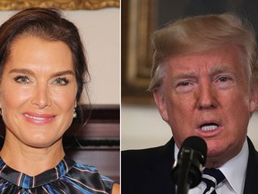 Brooke Shields and Donald Trump. (Getty Images)