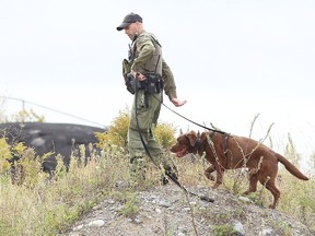 Gino Donato/Sudbury Star/Postmedia Network

OPP Const. Derry Mihell of the Ontario Provincial Police's canine unit along with Bones, the cadaver dog, search the area near Fieldstone Drive in Sudbury on Wednesday. A jawbone was found in the area this past weekend.