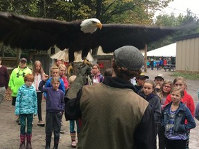 Bruce Bell/The Intelligencer
Matthew Morgan of the Canadian Raptor Conservatory shows Rocco, the Bald Eagle, to Algonquin and Lakeshore Catholic District School Board students during the Best Foot Forward celebration at the H.R. Frink Centre Friday.