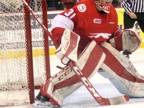 Soo Greyhounds goaltender Matthew Villalta