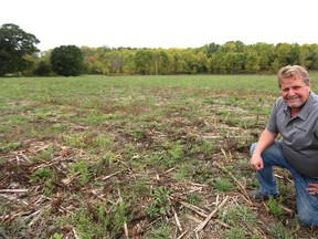 Rick Tusch of Delaware hopes to turn small fields like this old corn field, into a regional network of wildflowers, that will provide food for insects like native bee species, as well as hundreds of different species. (MIKE HENSEN, The London Free Press)