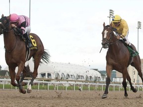 Latonka (left) wins the $125,000 Bull Page Stakes at Woodbine Racetrack yesterday. Michael Burns Photography